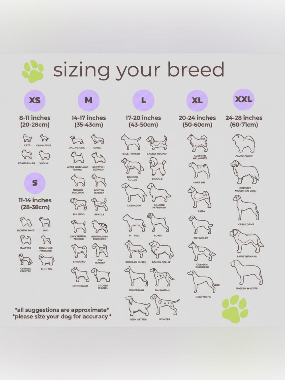 Personalized Pet Bead Necklaces - Picture 15 of 16